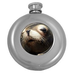 Cute Sea Lion Round Hip Flask (5 Oz) by trendistuff