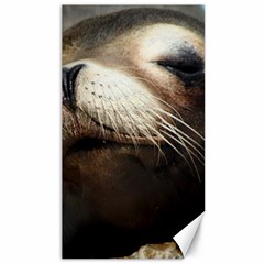 Cute Sea Lion Canvas 40  X 72  