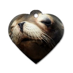 Cute Sea Lion Dog Tag Heart (two Sides) by trendistuff