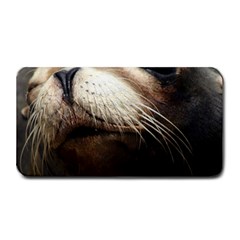 Cute Sea Lion Medium Bar Mats