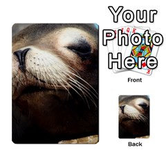 Cute Sea Lion Multi-purpose Cards (rectangle)  by trendistuff