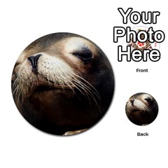 Cute Sea Lion Multi-purpose Cards (round)  by trendistuff