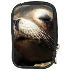 Cute Sea Lion Compact Camera Cases by trendistuff