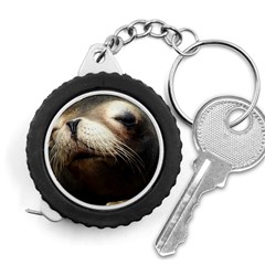 Cute Sea Lion Measuring Tapes by trendistuff