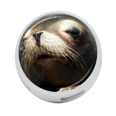 Cute Sea Lion 4-port Usb Hub (two Sides)  by trendistuff