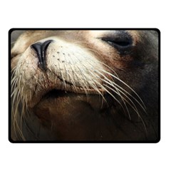 Cute Sea Lion Fleece Blanket (small)