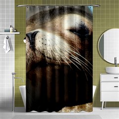 Cute Sea Lion Shower Curtain 48  X 72  (small)  by trendistuff