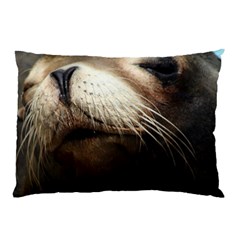 Cute Sea Lion Pillow Cases (two Sides)