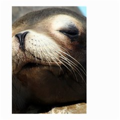 Cute Sea Lion Small Garden Flag (two Sides)