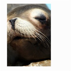 Cute Sea Lion Large Garden Flag (two Sides)