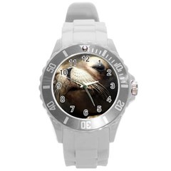 Cute Sea Lion Round Plastic Sport Watch (l) by trendistuff