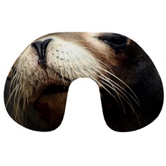 Cute Sea Lion Travel Neck Pillows