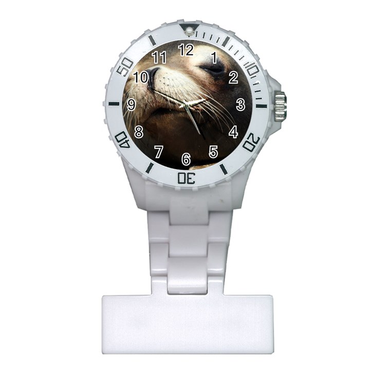 CUTE SEA LION Nurses Watches