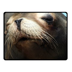 Cute Sea Lion Double Sided Fleece Blanket (small)  by trendistuff