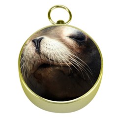 Cute Sea Lion Gold Compasses