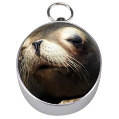 Cute Sea Lion Silver Compasses