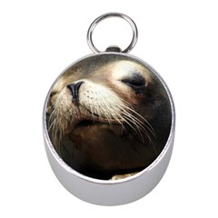 Cute Sea Lion Mini Silver Compasses by trendistuff