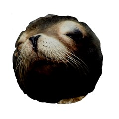 Cute Sea Lion Standard 15  Premium Flano Round Cushions