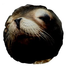 Cute Sea Lion Large 18  Premium Flano Round Cushions