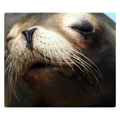 Cute Sea Lion Double Sided Flano Blanket (small) 