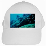 CORAL REEFS 2 White Cap