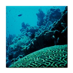 Coral Reefs 2 Tile Coasters by trendistuff