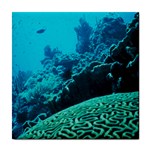 CORAL REEFS 2 Tile Coasters