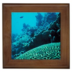 Coral Reefs 2 Framed Tiles by trendistuff