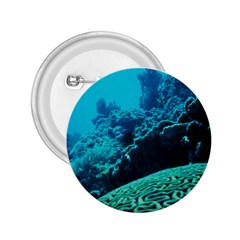 Coral Reefs 2 2 25  Buttons by trendistuff