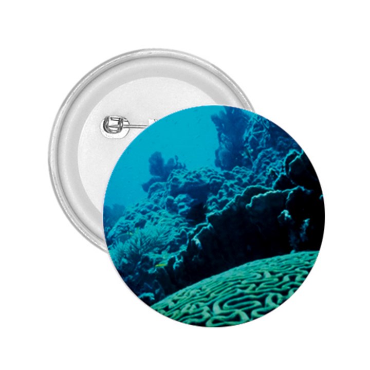 CORAL REEFS 2 2.25  Buttons