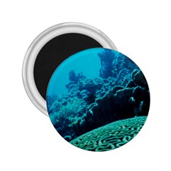 Coral Reefs 2 2 25  Magnets by trendistuff