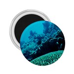 CORAL REEFS 2 2.25  Magnets