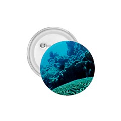 Coral Reefs 2 1 75  Buttons by trendistuff