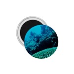 CORAL REEFS 2 1.75  Magnets Front