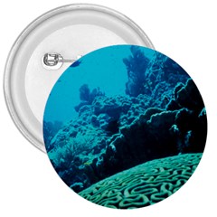 Coral Reefs 2 3  Buttons by trendistuff