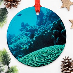 Coral Reefs 2 Ornament (round)  by trendistuff