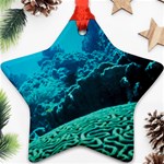 CORAL REEFS 2 Ornament (Star) 