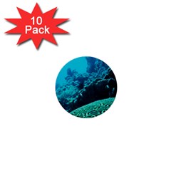 Coral Reefs 2 1  Mini Buttons (10 Pack)  by trendistuff