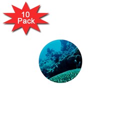 Coral Reefs 2 1  Mini Magnet (10 Pack)  by trendistuff