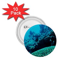 Coral Reefs 2 1 75  Buttons (10 Pack) by trendistuff