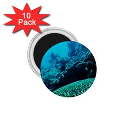 Coral Reefs 2 1 75  Magnets (10 Pack)  by trendistuff