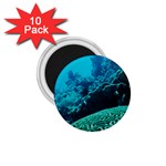 CORAL REEFS 2 1.75  Magnets (10 pack) 