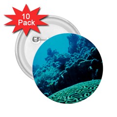 Coral Reefs 2 2 25  Buttons (10 Pack)  by trendistuff