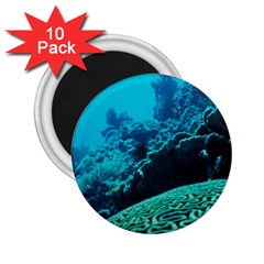 Coral Reefs 2 2 25  Magnets (10 Pack)  by trendistuff