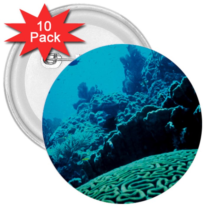 CORAL REEFS 2 3  Buttons (10 pack) 