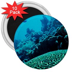 Coral Reefs 2 3  Magnets (10 Pack)  by trendistuff