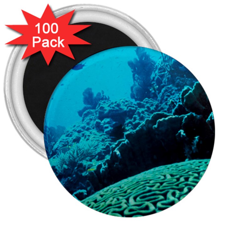 CORAL REEFS 2 3  Magnets (100 pack)