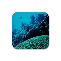 Coral Reefs 2 Rubber Coaster (square)  by trendistuff