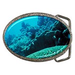 CORAL REEFS 2 Belt Buckles