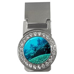 Coral Reefs 2 Money Clips (cz)  by trendistuff